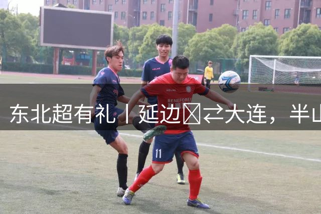 东北超有礼丨延边‌⇄大连，半山腰见